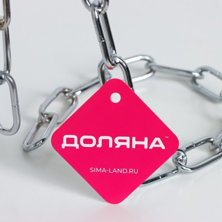 Stand for a bottle of the share "Chain", 18 × 12 × 20 cm, color chromium-4