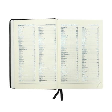 Delivery of Leduced A5, 136 sheets in a ruler, leatherette "Nebraska", silver cut, black-7