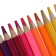 Pencils of 24 flowers "premium", thickened