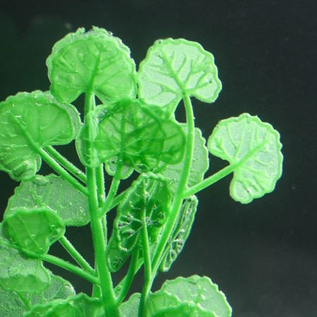 Silicone Aquarium plant, glowing in the dark, 7 x 11 cm, green-2