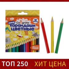 Pencils colored 12 flowers mini, wooden case, triangular