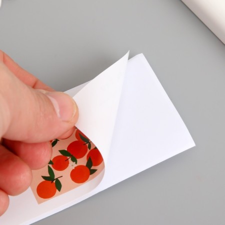 Stick Paper Gratitude "Mandarinki" set 50 pcs 10x5 cm-1