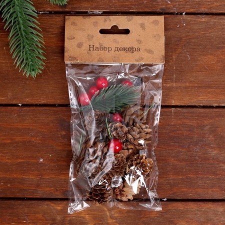 Set of New Year's decor "Bumps and berries"