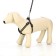 Set "braid", fluorescent, leash 115 x 1 cm, og 32-48 x 1.5 cm, black