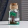 Souvenir in the bottle "Palma" 11*6*6cm, mix