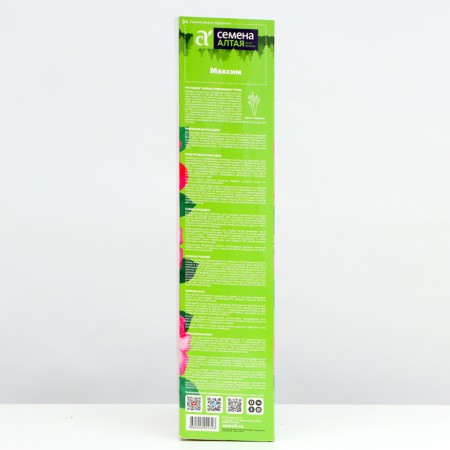 Sahenian Rosa Tea-Hybride "Maxim", 1 pc, spring 2024-2