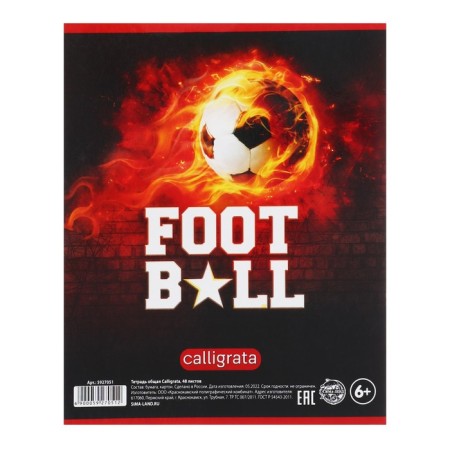 Subject subject call "football", 48 sheets in a cage English, with reference material, cover coated cardboard, uf-lak, block offset-4