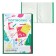 Portfolio folder Plastic A4, Calligrata "Lyceum", 20 files