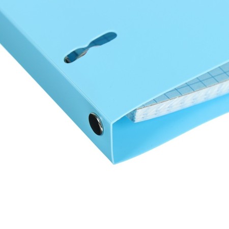 A notebook on rings A5, 80 sheets in the Erichkrause "Pastel", plastic cover, OFSET BOLK, 100%whiteness, mix-3