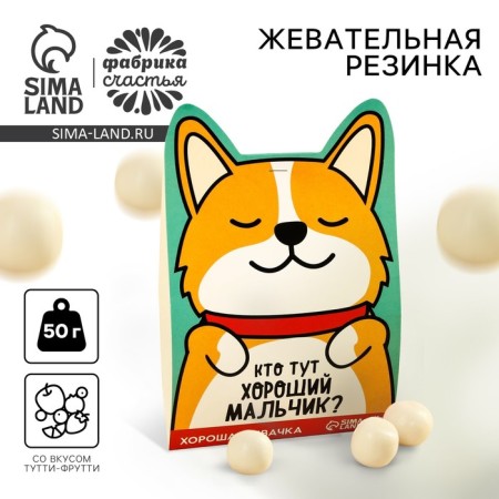 Chewing gum “Who is a good boy here?”, Taste: Tutti-Futti, 50 g.