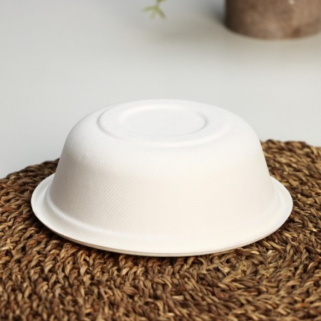 A set of disposable plates ECO, 500 ml, d = 15.5 cm, sugarcane, 6 pcs/un-1