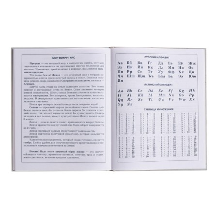 Diary for grades 1-4, solid cover "Kruglyash", glossy lamination, block 60g/m²-12