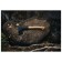 Ax Norden N7, 35 × 17 cm, universal, metal, Plantic