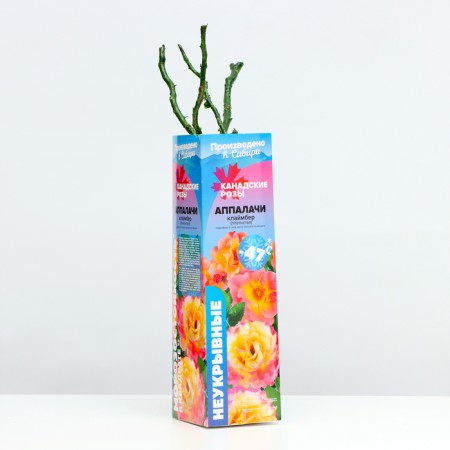 Sahenian Rosa Appalachi Spring 2024, 1 pc.-1