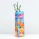 Sahenian Rosa Appalachi Spring 2024, 1 pc.
