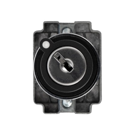 BD32 4P switch with NO lock-2