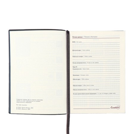 Dated 2025 diary, Escalada, A6+ 176 sheets, soft cover, artificial leather, pancake embossing, tinted block 70 g/m2, gray-5