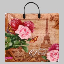 Paris with roses package, polyethylene with a plastic pen, 37x35 cm, 90 μm
