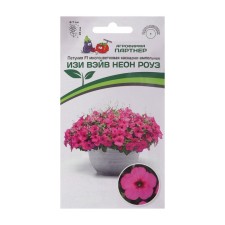 Flowers of Petunia 