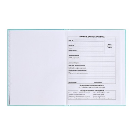School diary for grades 1-11, "turquoise", covered paper cover, hard binding cardboard 7BC, matte lamination, universal cheat sheet, 48 sheets, block 65g/m2-3