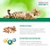 Wet feed Perfect Fit immunity for cats, beef, linen, spider, 75 g