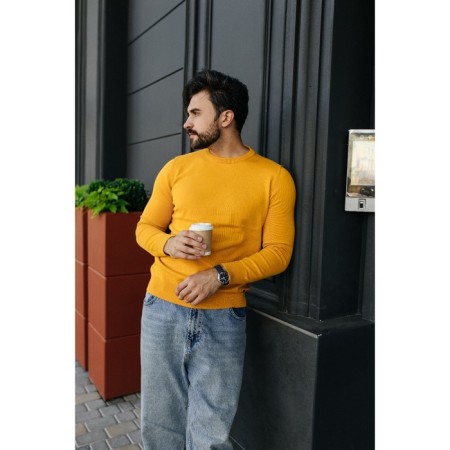 Jumper male ise, size 54, yellow color-9