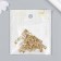 Metal "patterned corner" set set 6 pcs gold 3.5x3.5 cm