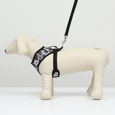 A set for dogs 3-5 kg, size S, leash 120 x 1.5 cm, Osh 24 cm, OG 34 cm-1