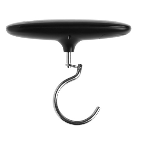 Luzon LVU-09, electronic, up to 50 kg, accuracy up to 10 g, backlight, hook, black