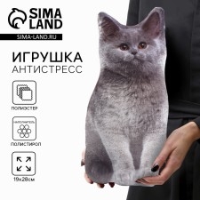Antistress toy 