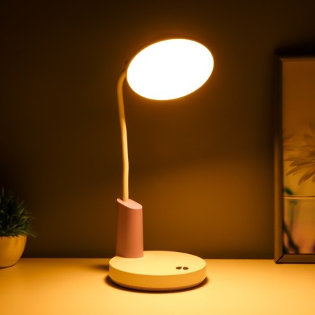 Highway lamp "Gard" LED, from USB/AKB 7 W, 3000-6000 sensor to white-violet 13x12x37 cm Risalux-2