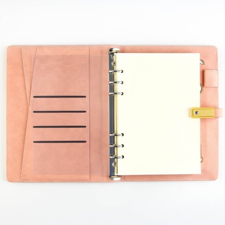Diary with the built-in charger "Dream", Mod.pb-24.17.5 x 23.5 cm-4