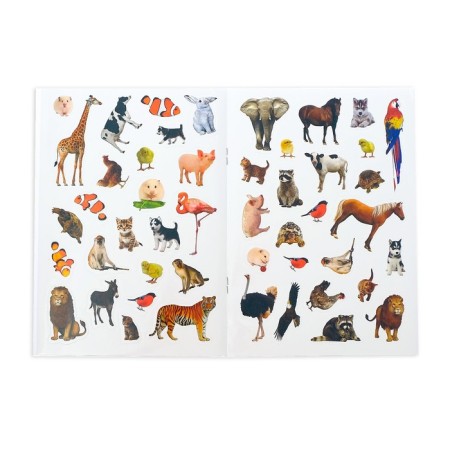 Book with stickers "Account", 12 p.-2