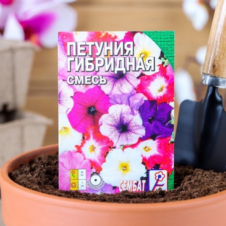 Flowers of Petunia "Hybrid mixture", o, 0.05 g
