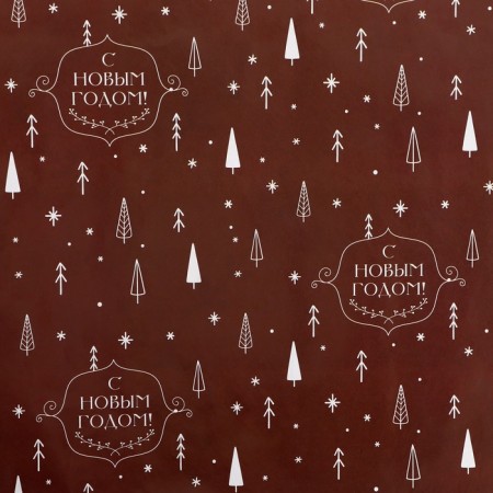 Paper packaging glossy bilateral "sophistication", 50 x 70 cm-10