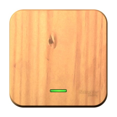 See Blanca switch, 10 A, 1 key, IP20, overhead, backlight, ash, Blnva101115
