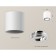 Turning lamp Ambrella Light, XS7531003, MR16 GU5.3 LED 10 W, white sand, silver color
