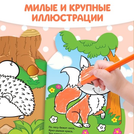 Coloring with stickers "Raccoon", 12 p.-4