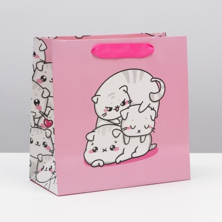 Gift Laminated Square, packaging, “cats”, 22 x 22 x 11 cm-1