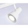 The turn -the -cloth overhead is the Ambrella Light, Move, Ta13115, GU10, white color, white