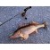 Wobbler sinking vertical LJ Pro Series Basara Vib S, 8 cm, color 147