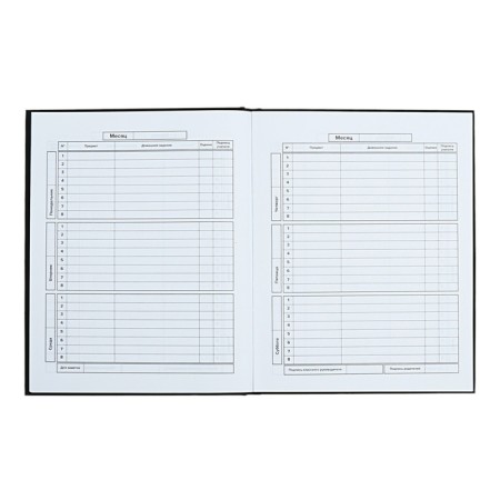 Universal Diary Grade 1-11, 48 raccoon sheets, solid cover, foil embossing, glossy lamination, universal cheat sheet, block 65 g/m2-7