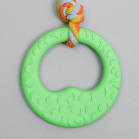 Chewing toy with a rope "Girya", green-2