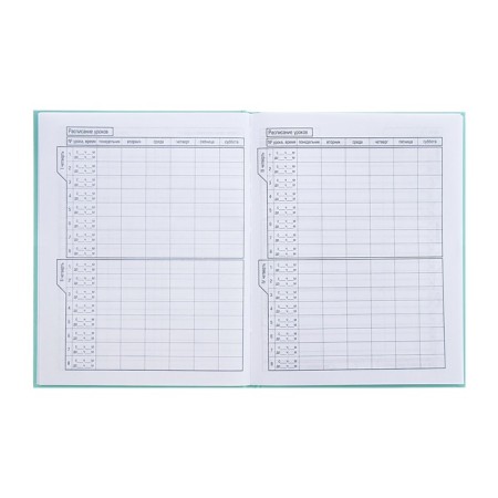 Universal diary for grades 1-11 of "Fragile tenderness", solid cover, glossy lamination, sparkles, 40 sheets-6