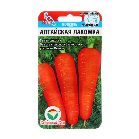Seed Carrots Altai Tandy, 2 g