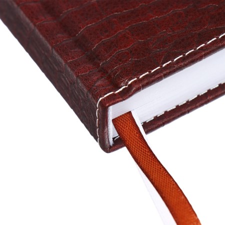 Dated diary 2024, A5, 176 sheets, Attomex.croco, Cover Artificial Leather, Lasse, Blok 70 g/m2, brown-3