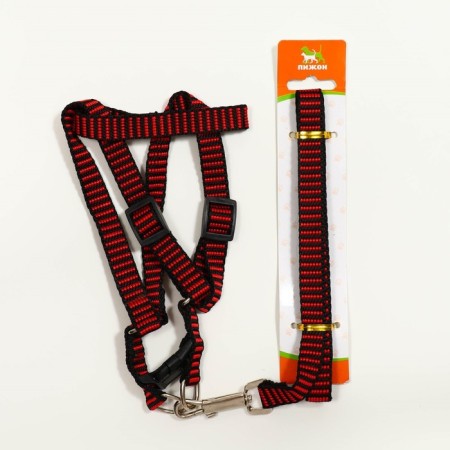 Acunition set of embossed, leash 120 x 1.5 cm, OG 36-49 cm, red-black-6