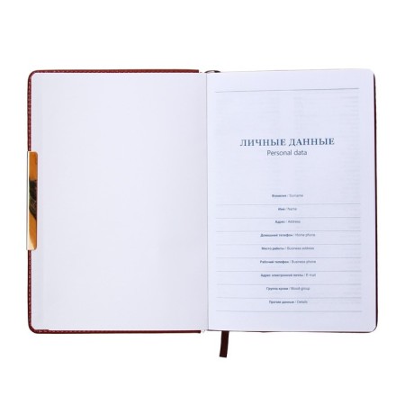 The diary is low, the PVC, A5 cover, 140 sheets in a cage, with a handle, in a gift box, mix-5