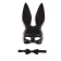 Carnival set "Oblast Bunny" mask, butterfly