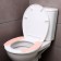 The sticker for the toilet is plain, 2 pcs (pink)